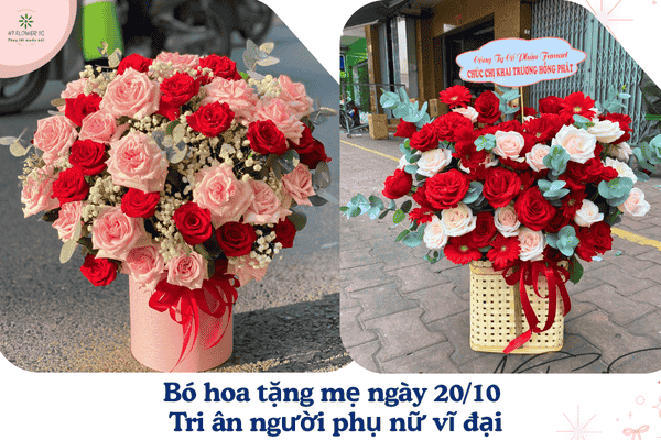 99 Bó Hoa Đẹp 2010 Mừng Ngày Phụ Nữ Việt Nam 2025